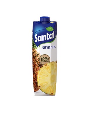 Succo di Frutta Ananas Santal 1000 ml 