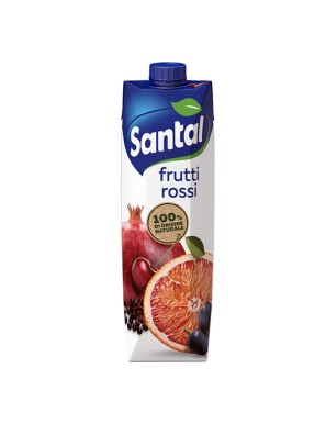Succo di Frutta Frutti Rossi Santal 1000 ml 