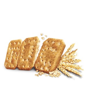 Crackers Tuc Integrale x20 