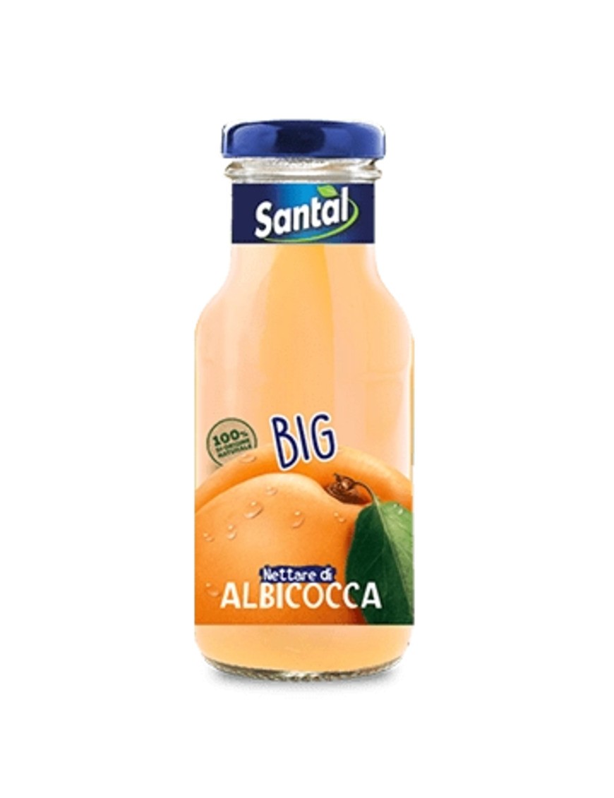 Succo di Frutta Albicocca Santal Vetro 250ml 
