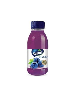 Succo di Frutta Mirtillo Santal Pet 250ml