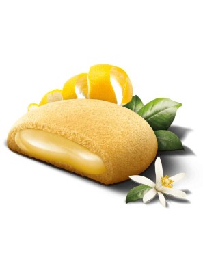 Biscotti Grisbì al limone g 30 x 24